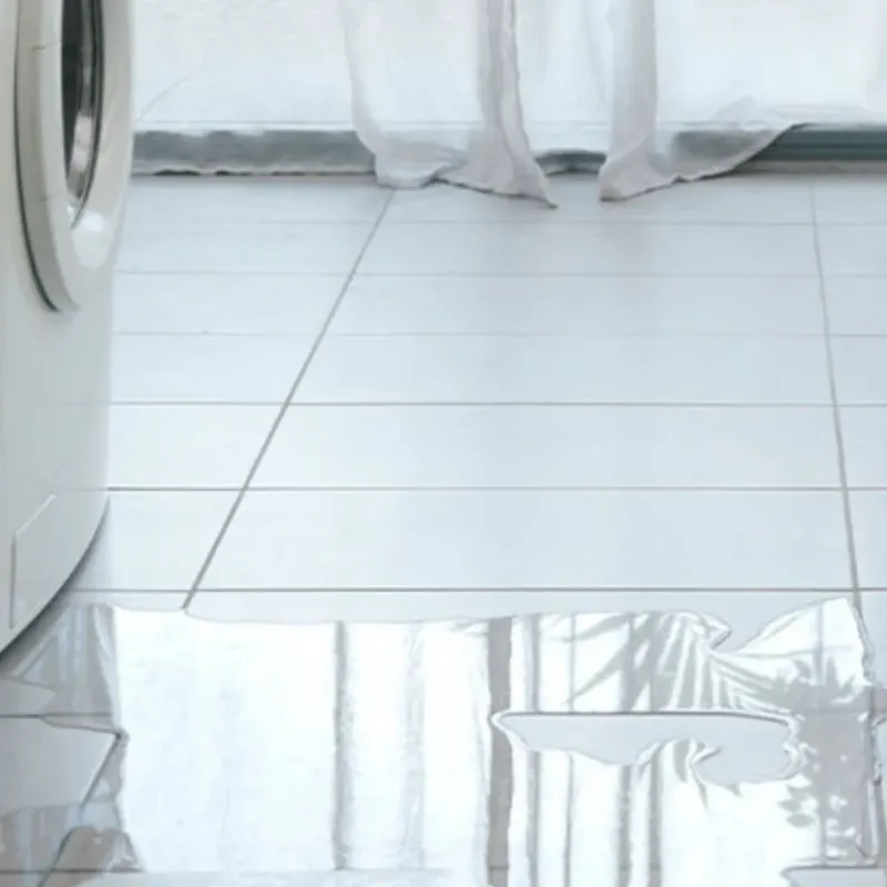 Appliance Leak Cleanup in Lady Lake, FL